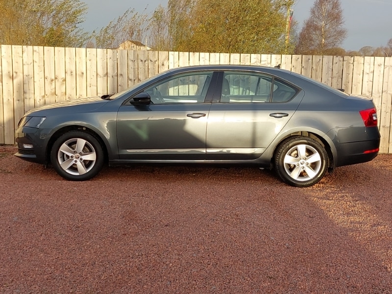 Used Skoda Octavia 2019 for sale - 76736905: Photo 4