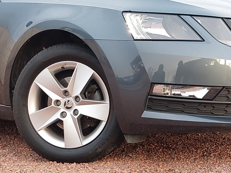 Used Skoda Octavia 2019 for sale - 76736905: Photo 9