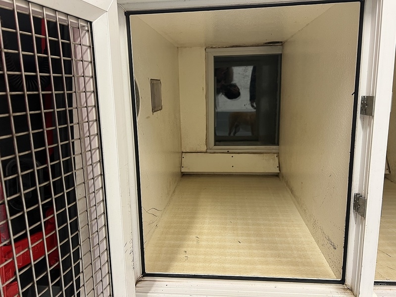 Used Ford Transit Connect for sale - 77168548: Photo 32