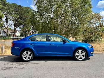 Used Skoda Octavia 2020 for sale - 79564698: Photo