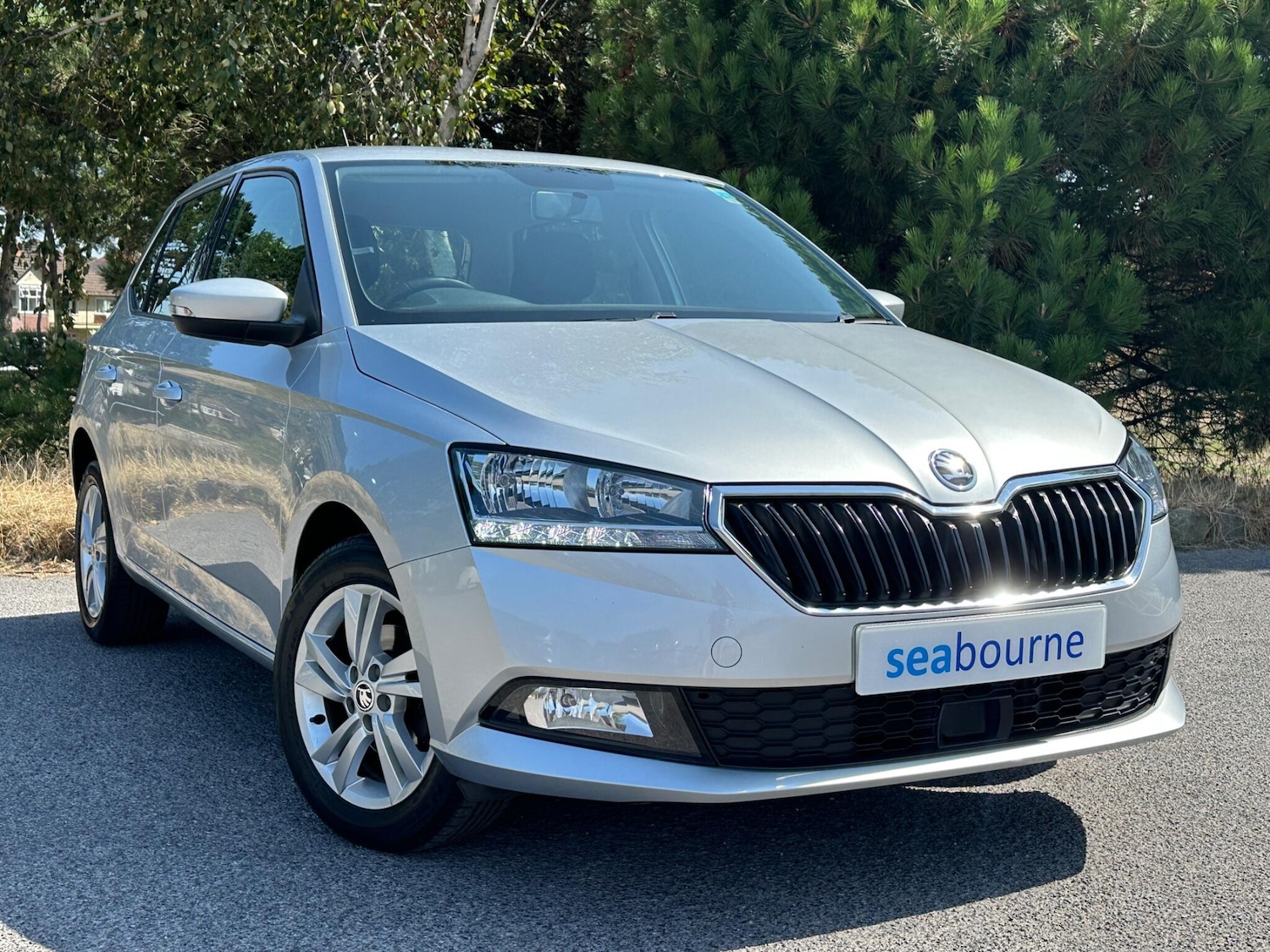 Used Skoda Fabia 2018 for sale - 76691163: Photo 1
