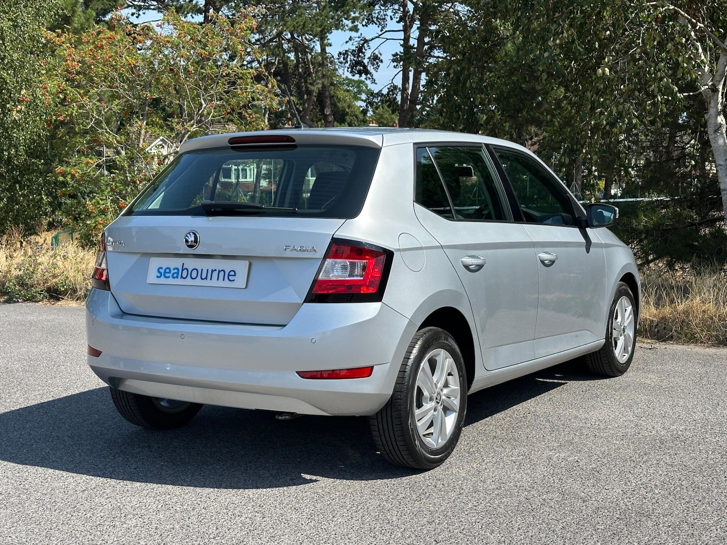 Used Skoda Fabia 2018 for sale - 76691163: Photo 19