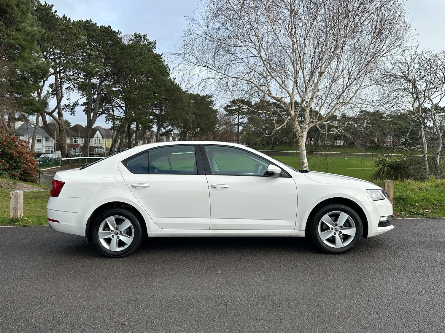 Used Skoda Octavia for sale - 77511406: Photo 4