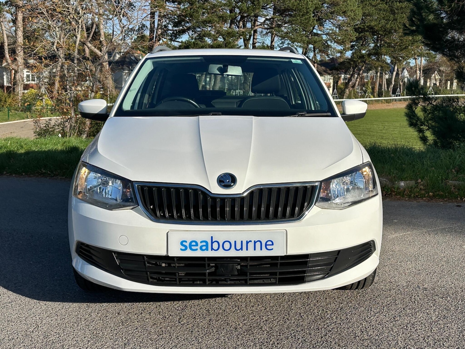 Used Skoda Fabia 2015 for sale - 76997780: Photo 2