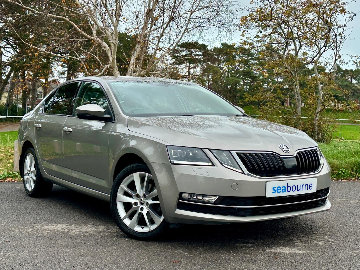 Used Skoda Octavia 2018 for sale - 76691166: Photo 1