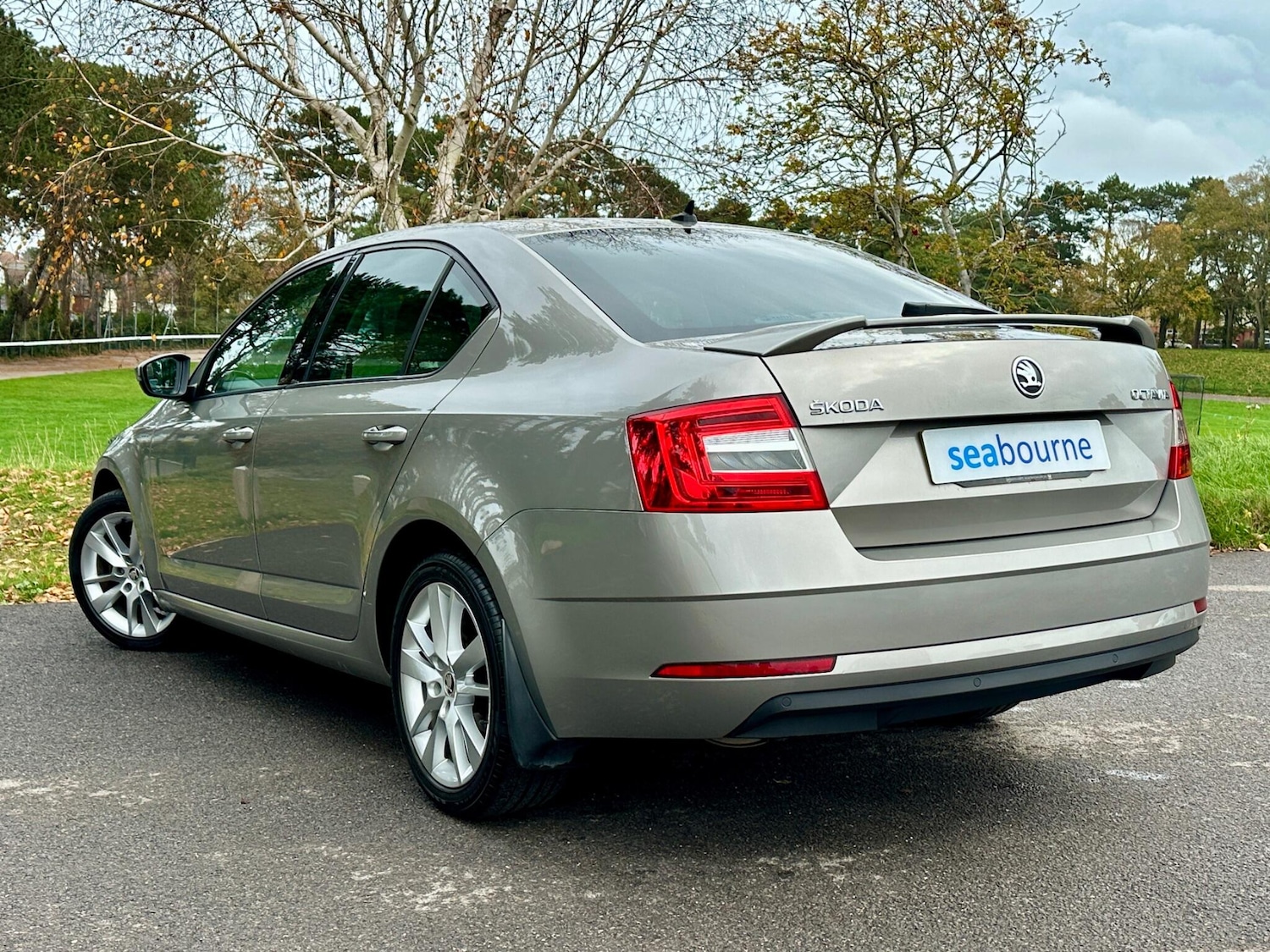 Used Skoda Octavia 2018 for sale - 76691166: Photo 8