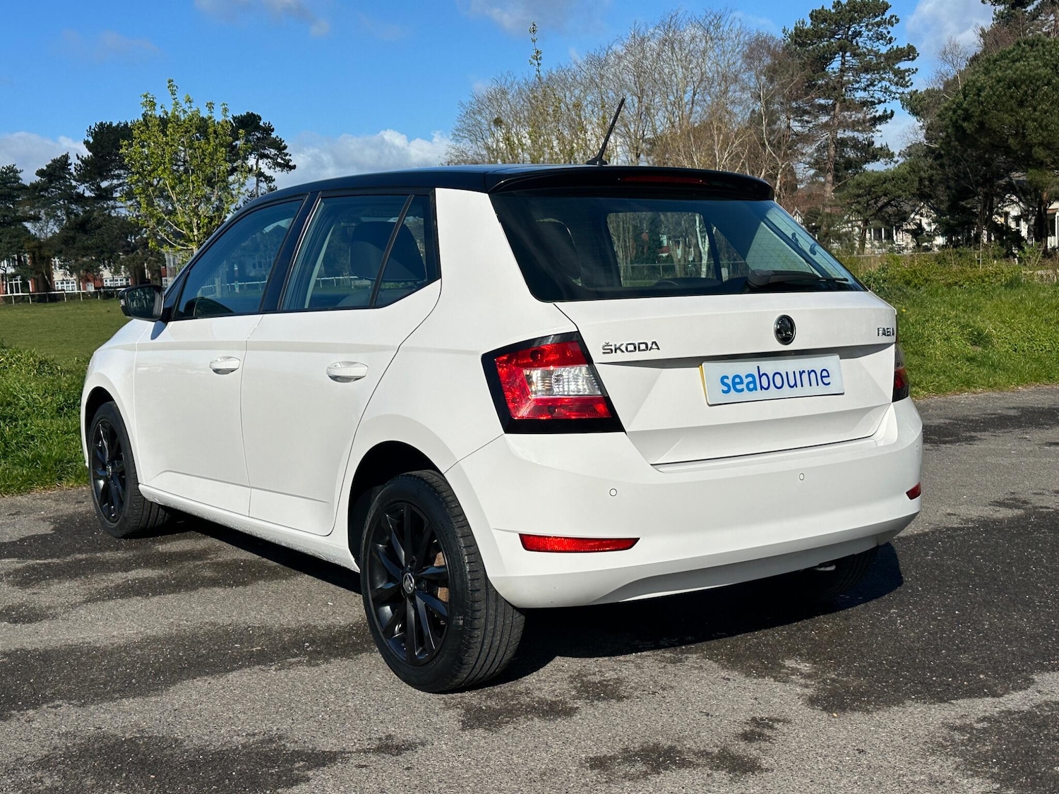 Used Skoda Fabia 2018 for sale - 78034964: Photo 22