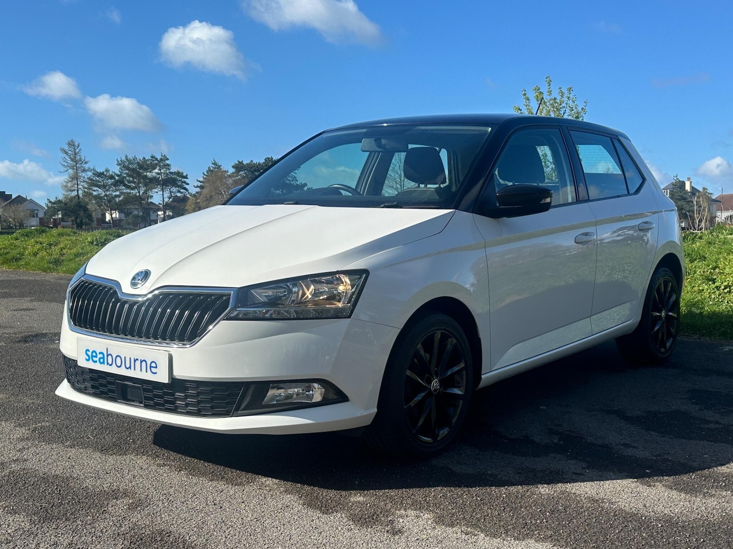 Used Skoda Fabia 2018 for sale - 78034964: Photo 3