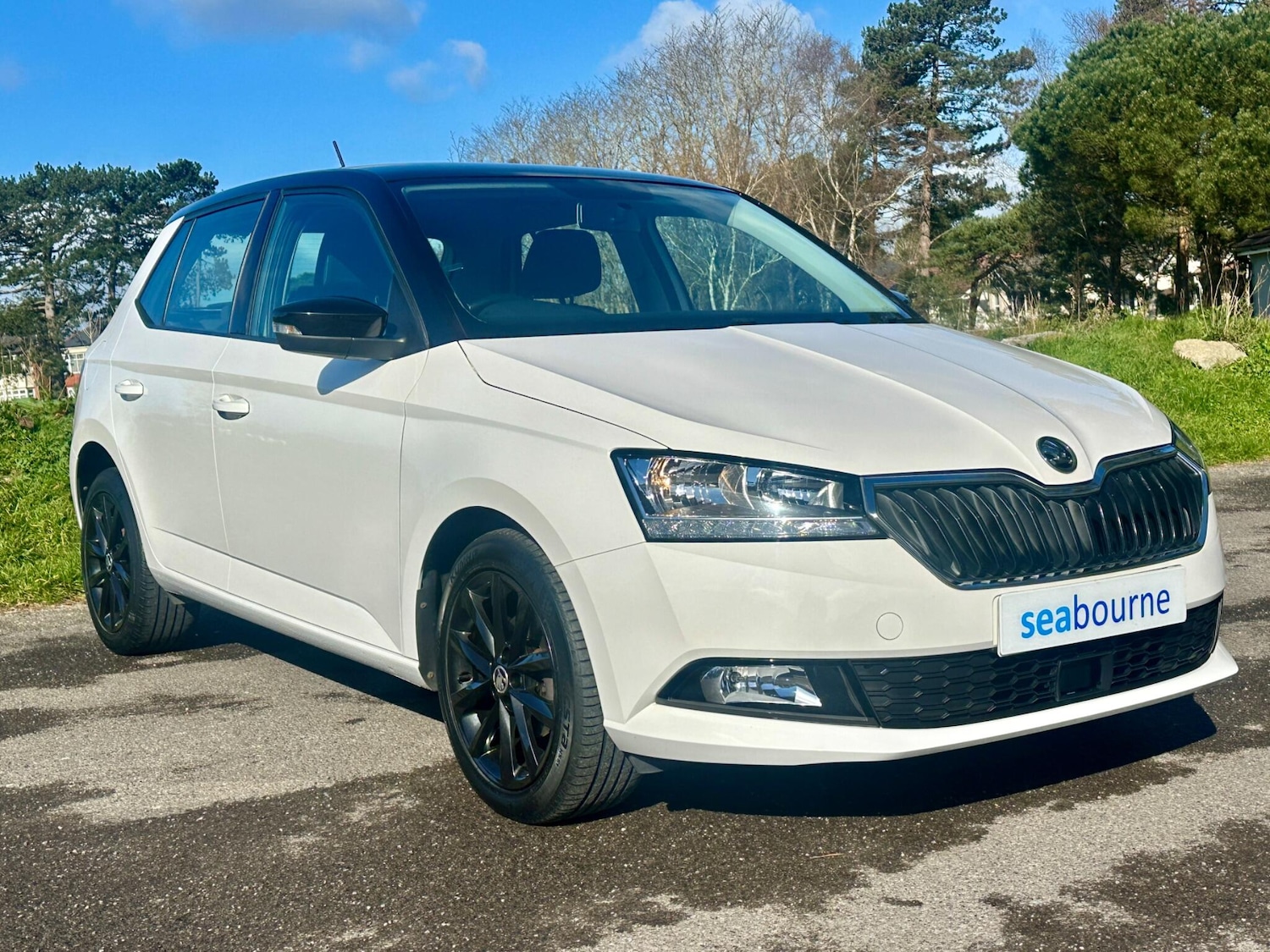 Used Skoda Fabia 2018 for sale - 78034964: Photo 7