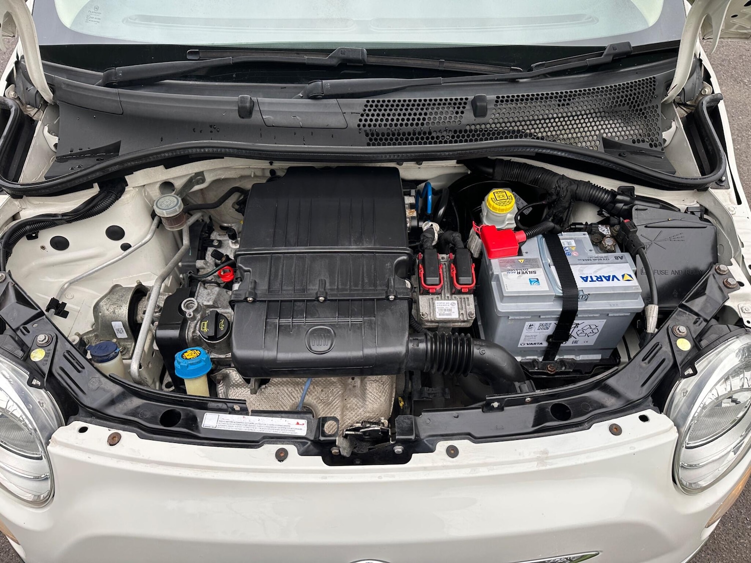 Used Fiat 500 for sale - 77670359: Photo 22