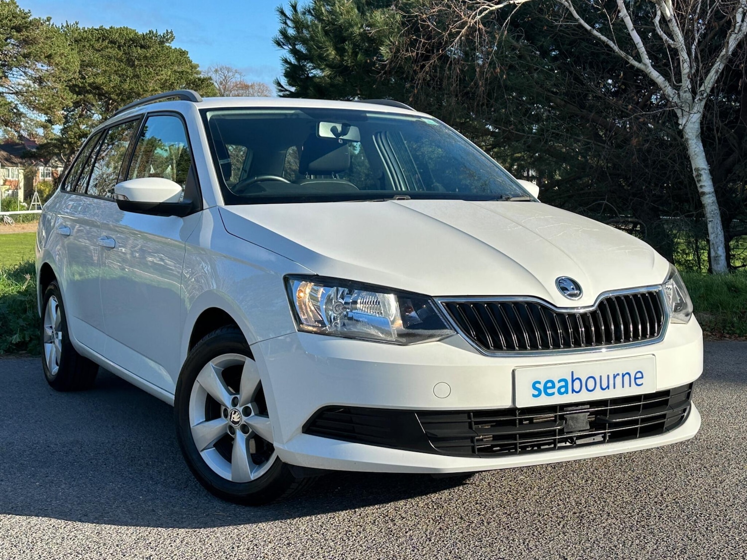 Used Skoda Fabia 2015 for sale - 76691171: Photo 1