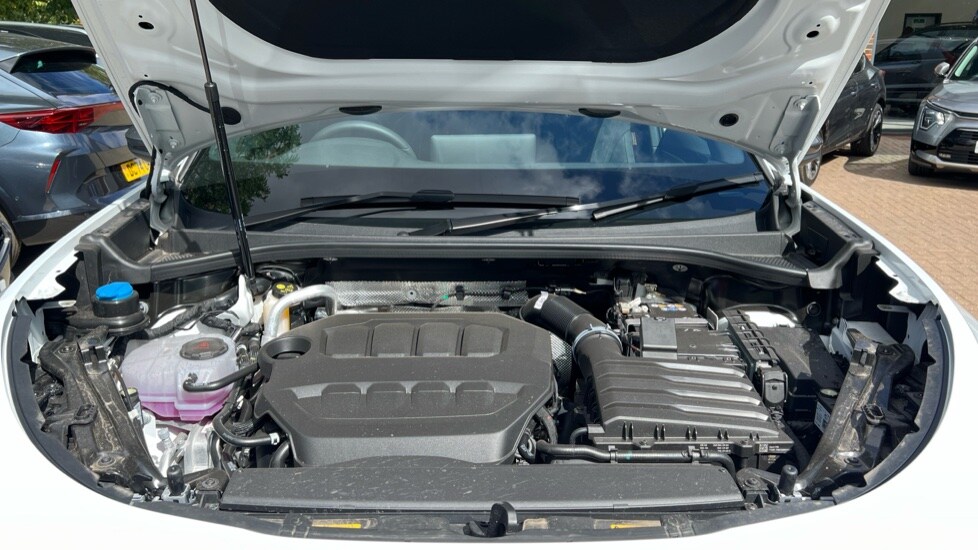 Used Cupra Terramar 2025 for sale - 75664995: Photo 16