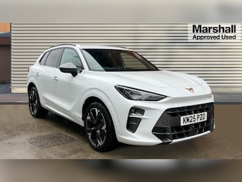 Cupra - Terramar