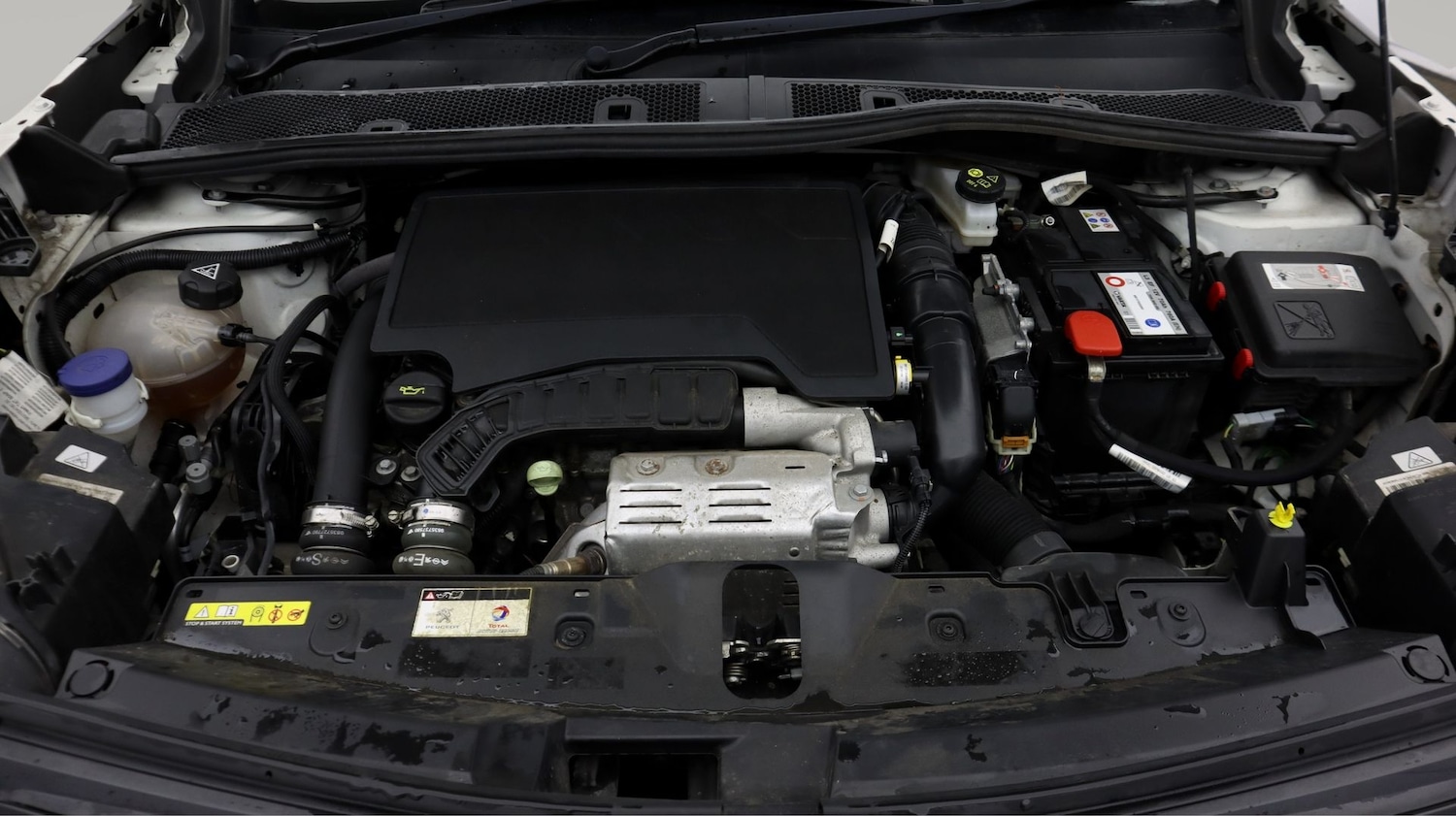 Used Peugeot 2008 2020 for sale - 77308619: Photo 19