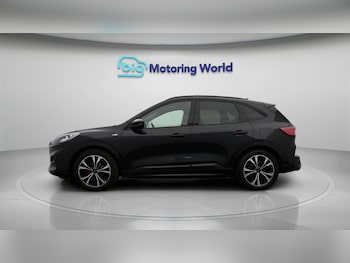 Used Ford Kuga 2021 for sale - 77700966: Photo