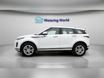 Used Land Rover Range Rover Evoque 2020 for sale - 77754985: Photo