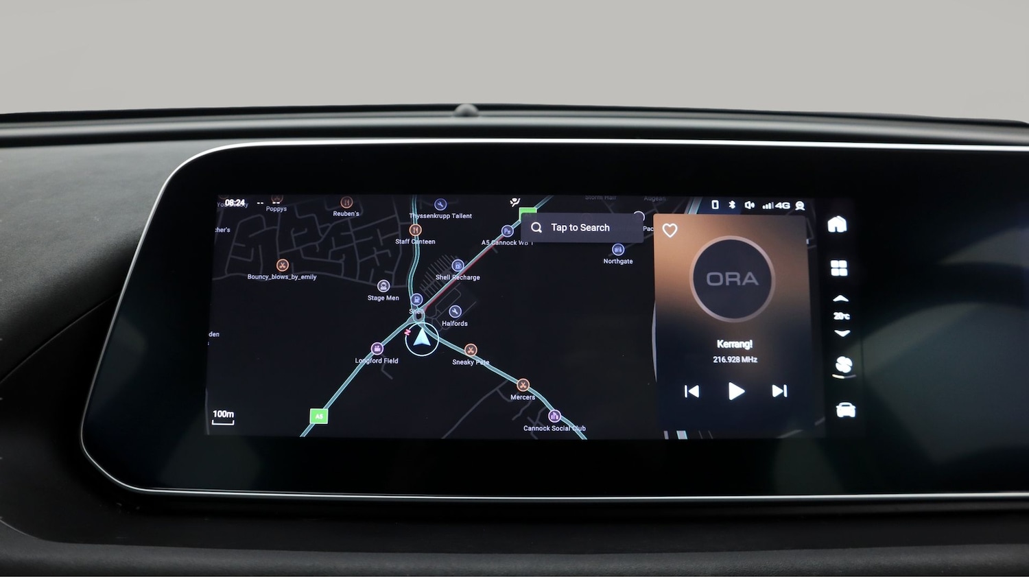 Used GWM ORA 03 2024 for sale - 77451361: Photo 11