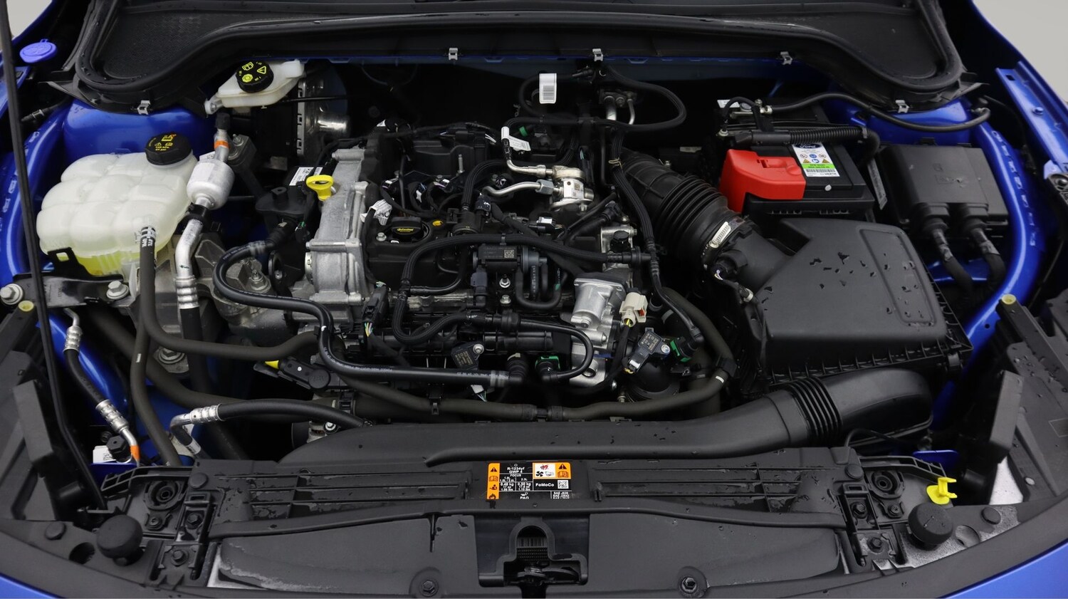 Used Ford Focus for sale - 78162599: Photo 19