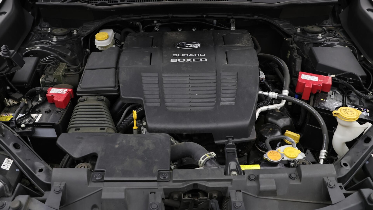 Used Subaru Forester 2023 for sale - 76042656: Photo 20