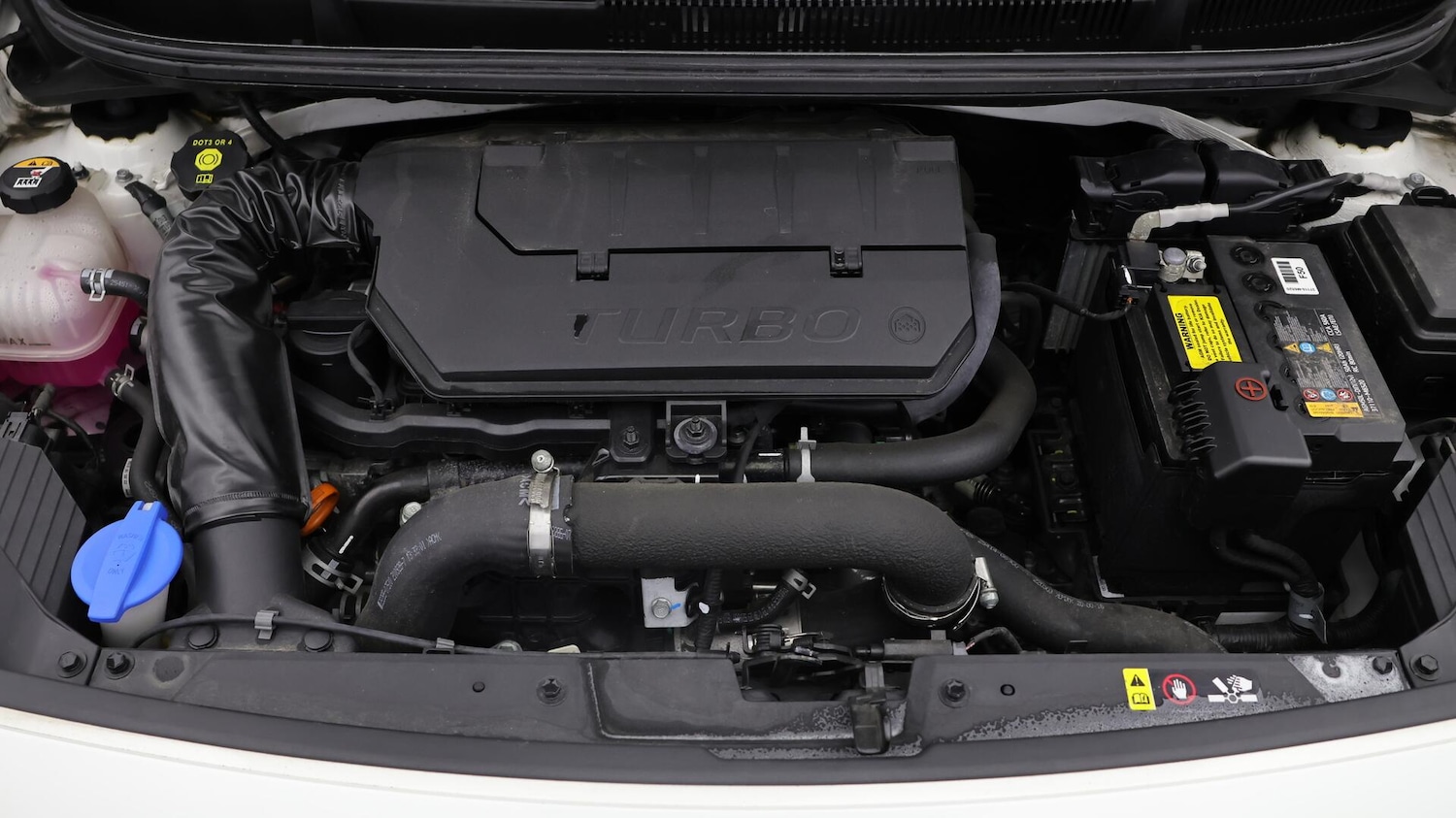 Used Kia Picanto for sale - 76201351: Photo 20
