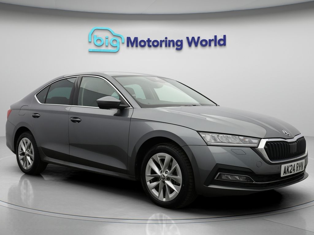 Used Skoda Octavia 2024 for sale - 76960616: Photo 11