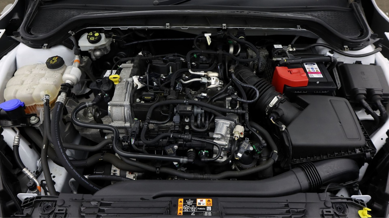 Used Ford Focus 2023 for sale - 77285847: Photo 19