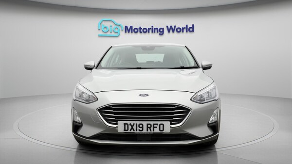 Used Ford Focus 2019 for sale - 76283390: Photo 3
