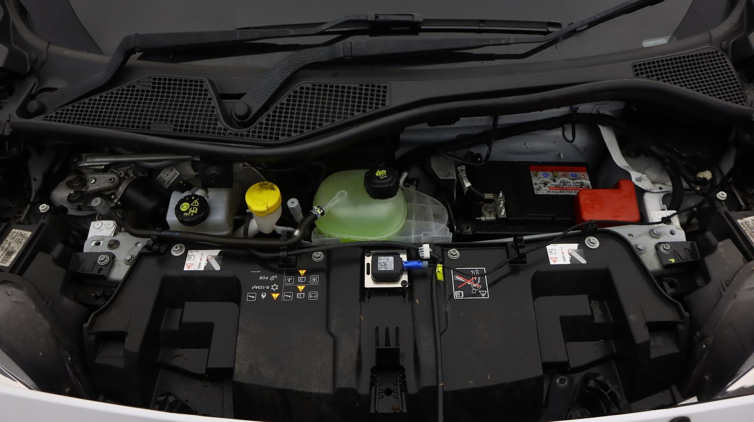 Used smart forfour 2021 for sale - 77537081: Photo 19