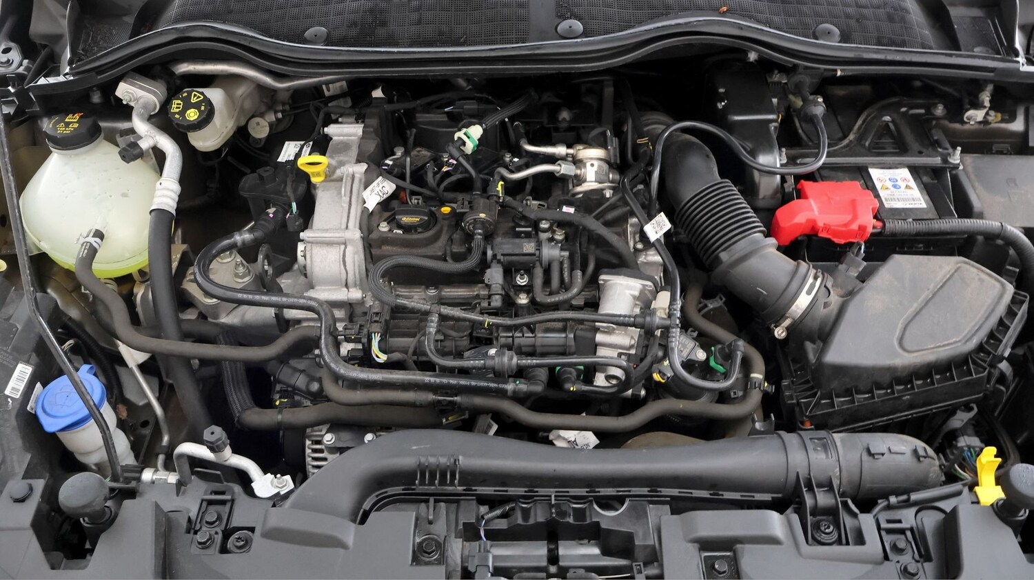 Used Ford Fiesta 2023 for sale - 77543416: Photo 19