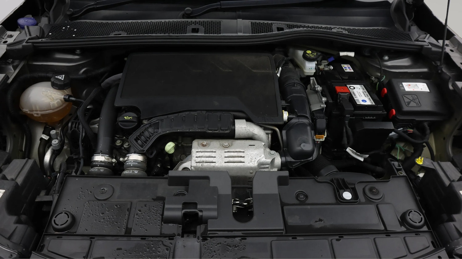 Used Citroen C4 2023 for sale - 77934503: Photo 19