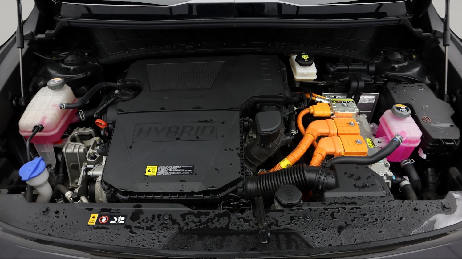 Used Kia Niro 2023 for sale - 77991857: Photo 19