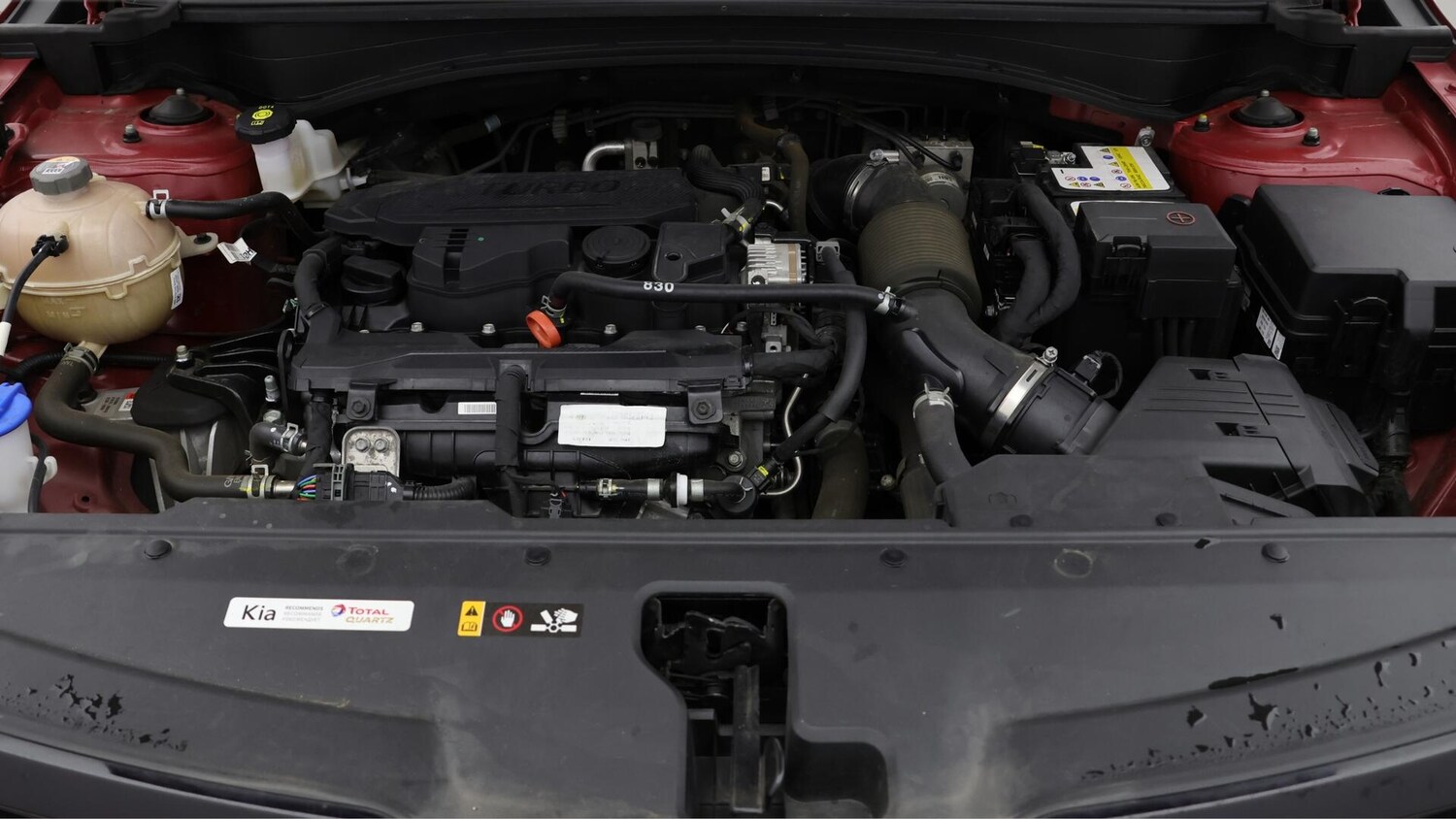 Vehicle 31