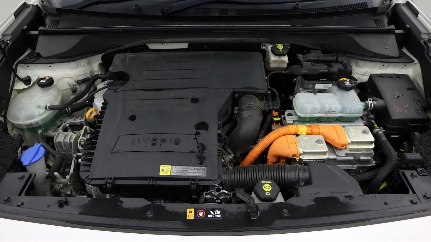 Used Kia Niro 2020 for sale - 77435536: Photo 19