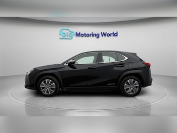 Used Lexus UX 2023 for sale - 79176935: Photo