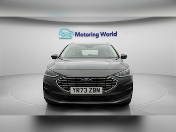 Used Ford Focus 2023 for sale - 77567575: Photo