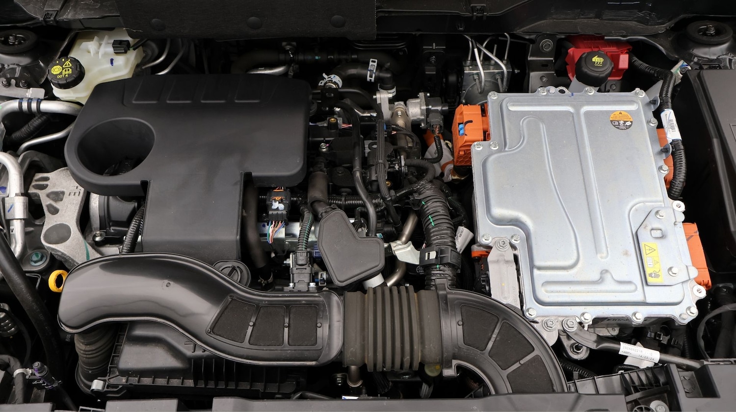 Used Nissan Juke 2024 for sale - 77653562: Photo 19