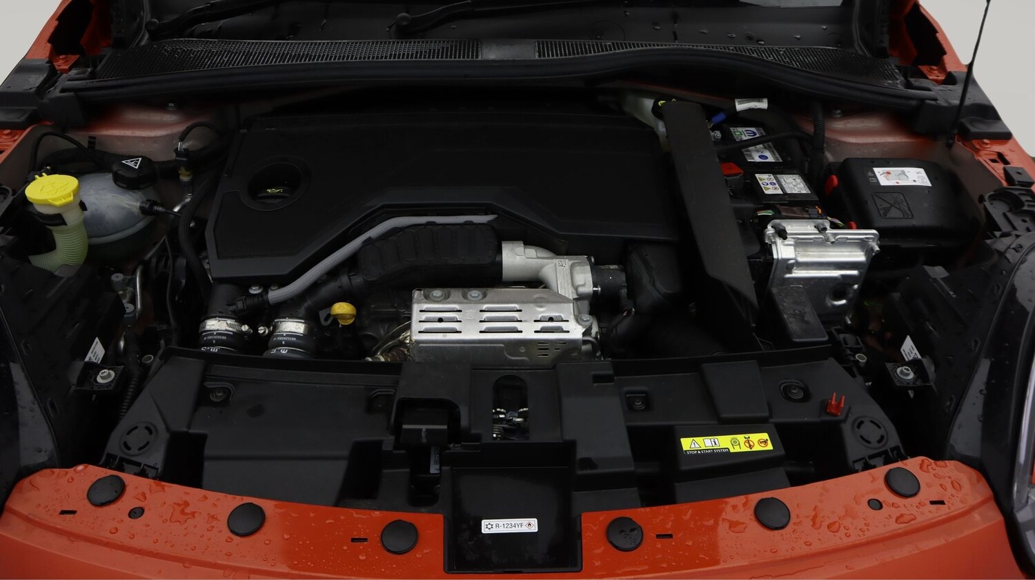 Used Fiat 600 2024 for sale - 77639059: Photo 19