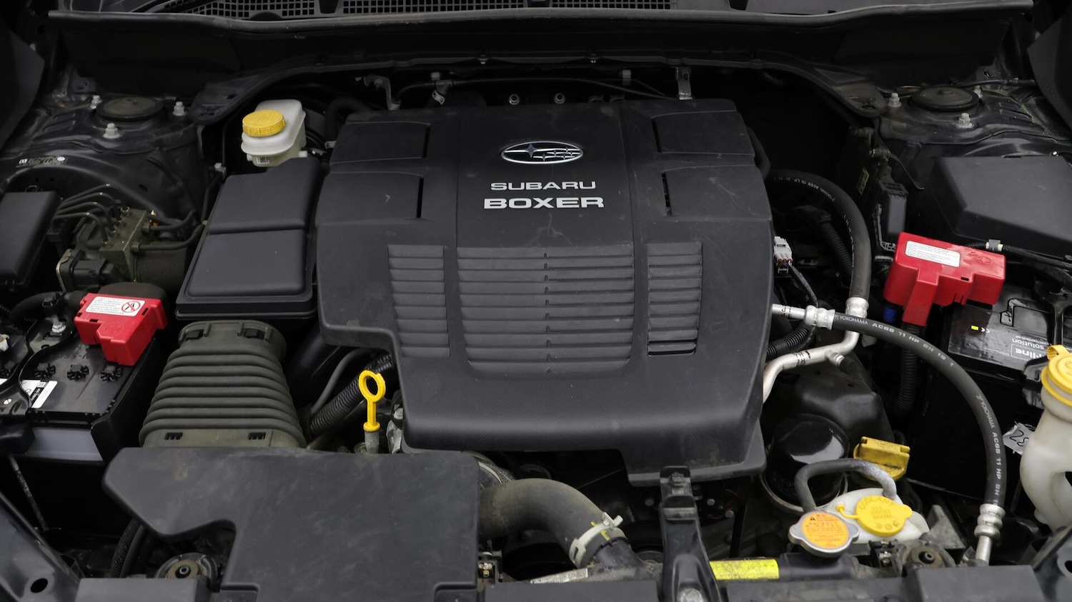 Used Subaru Forester 2023 for sale - 76152011: Photo 20