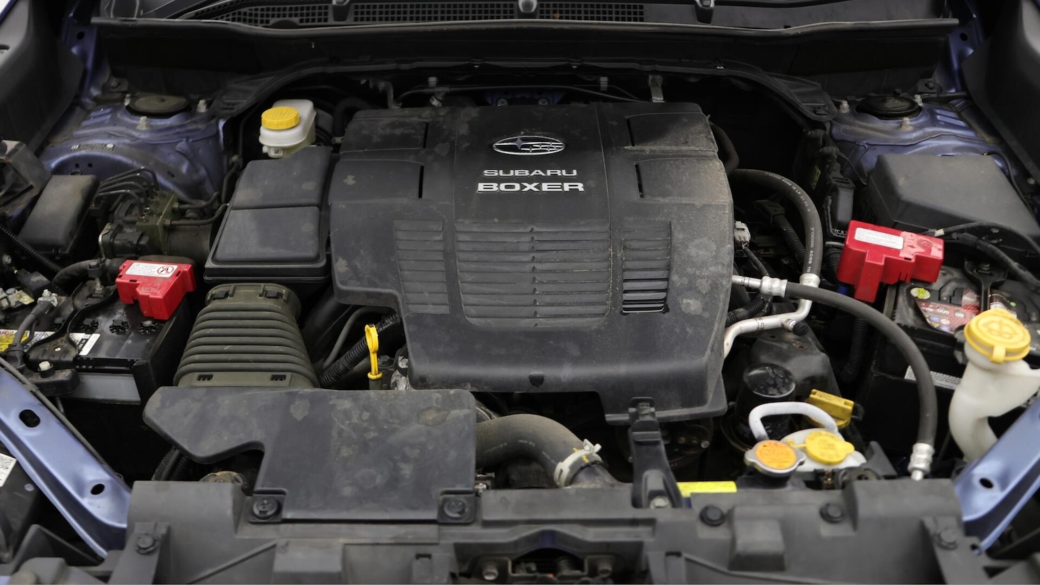 Used Subaru Forester 2023 for sale - 76425280: Photo 20