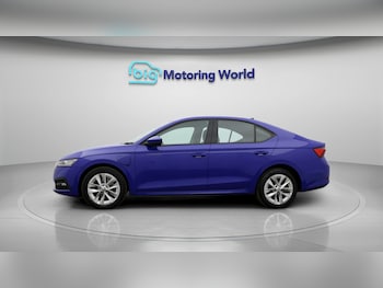 Used Skoda Octavia 2023 for sale - 79385725: Photo