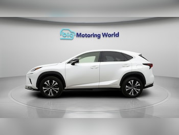 Used Lexus NX 2021 for sale - 77271114: Photo
