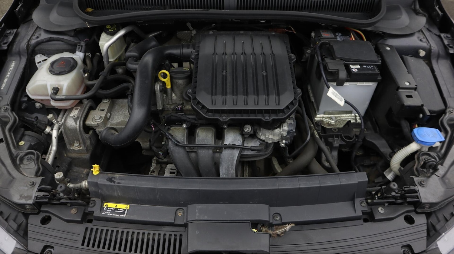 Used Volkswagen Polo for sale - 76702170: Photo 20