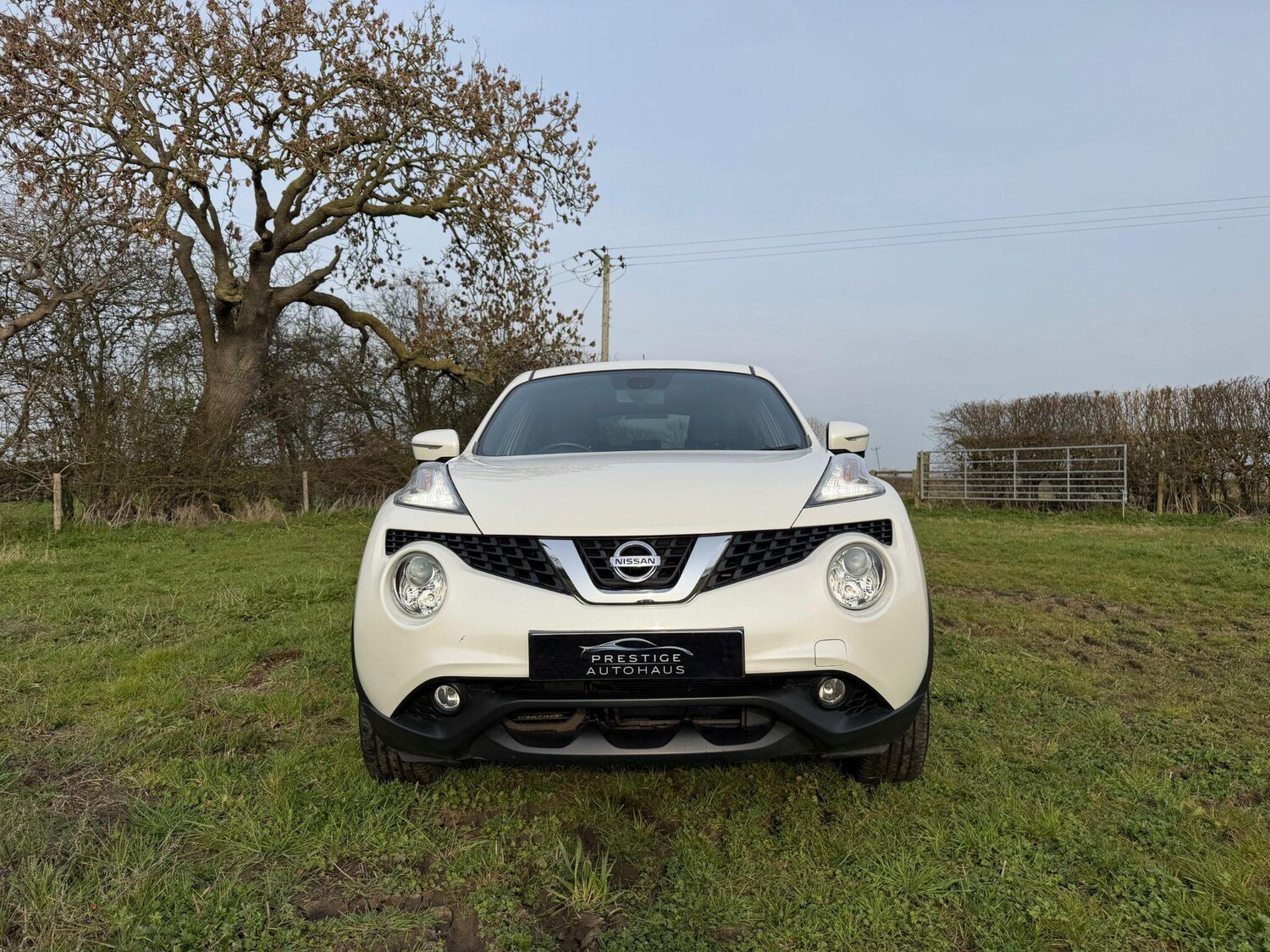 Used Nissan Juke 2016 for sale - 77979086: Photo 12