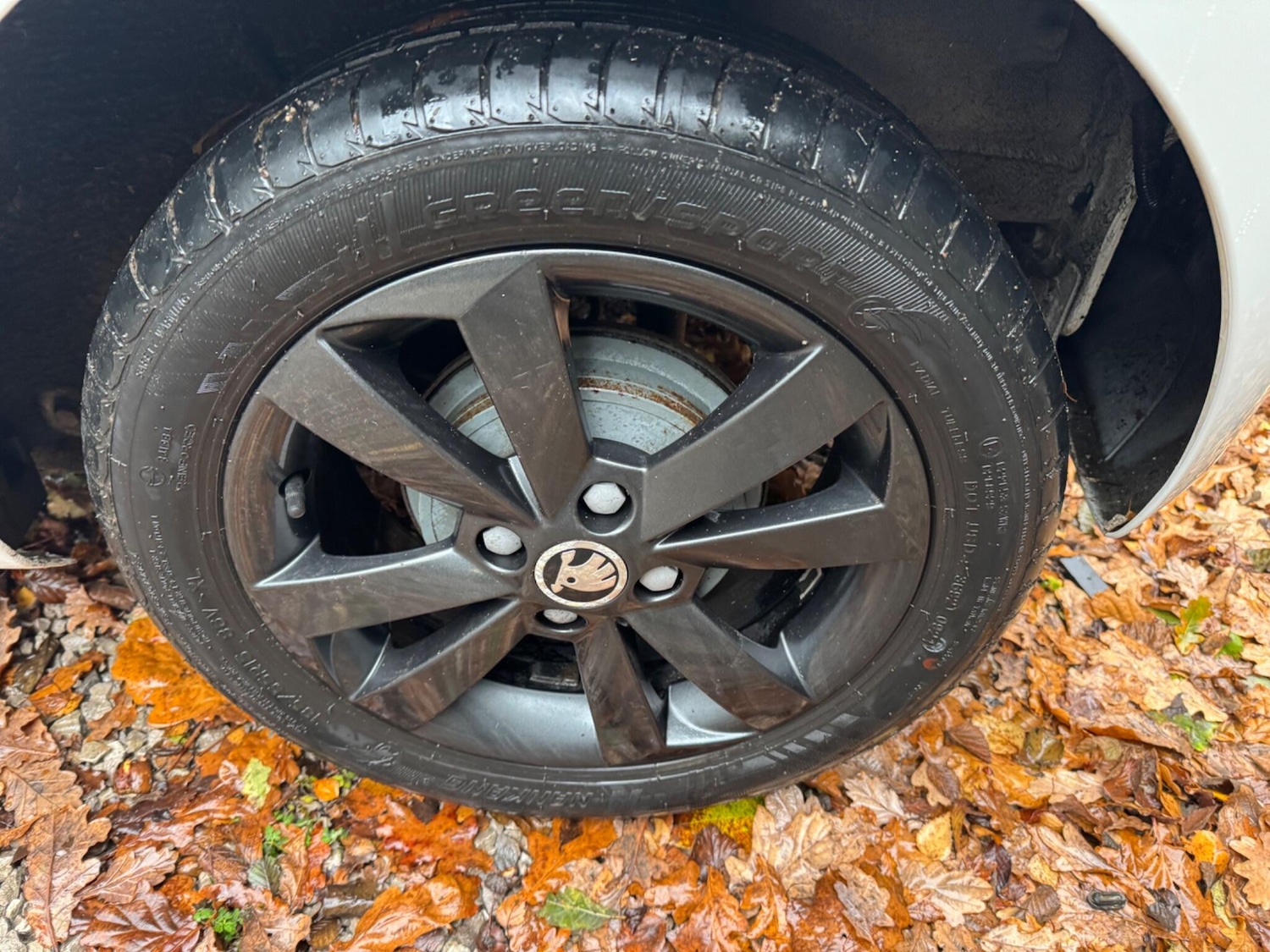 Used Skoda Citigo 2015 for sale - 77762508: Photo 11