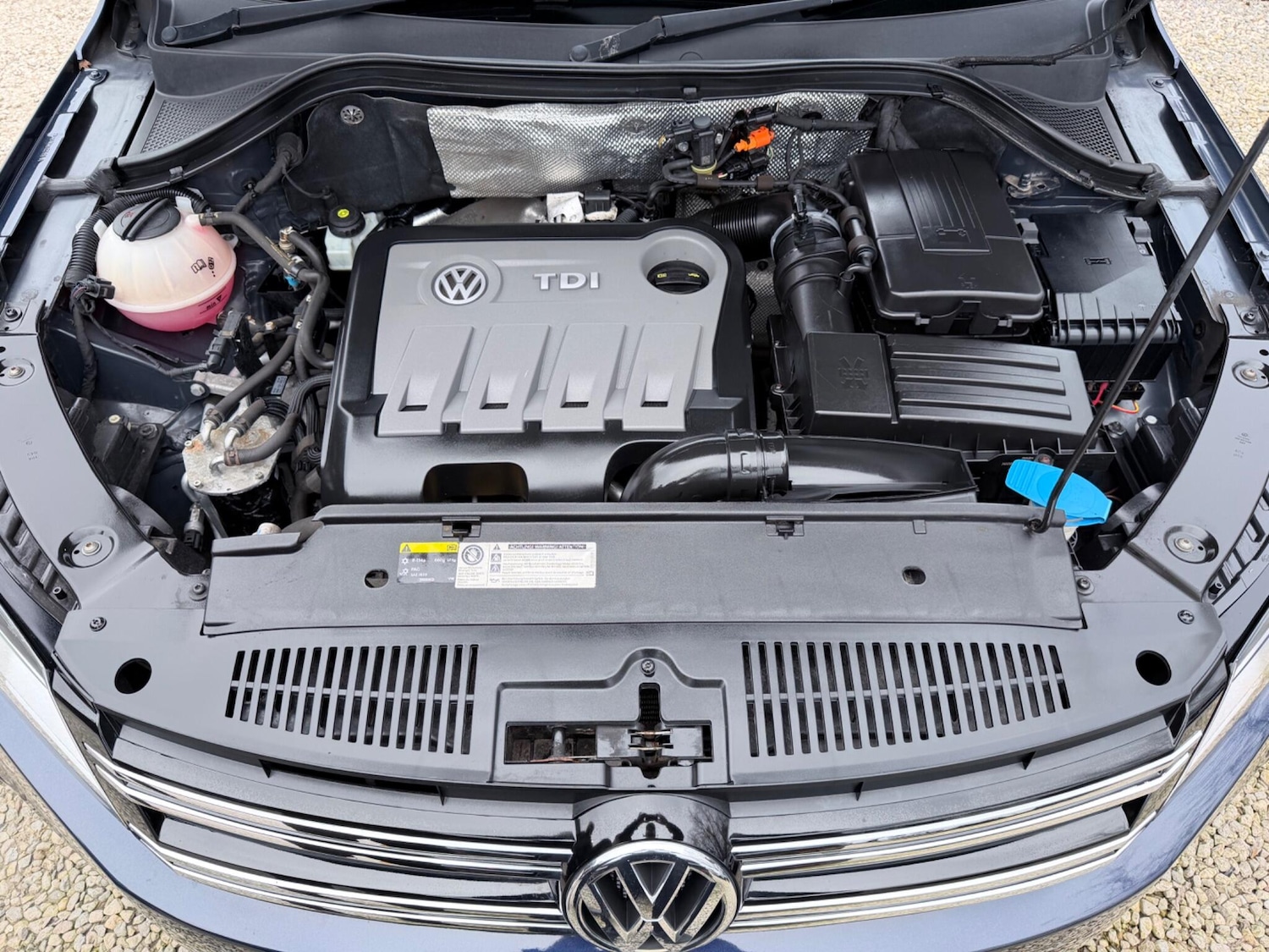 Used Volkswagen Tiguan for sale - 77823553: Photo 35