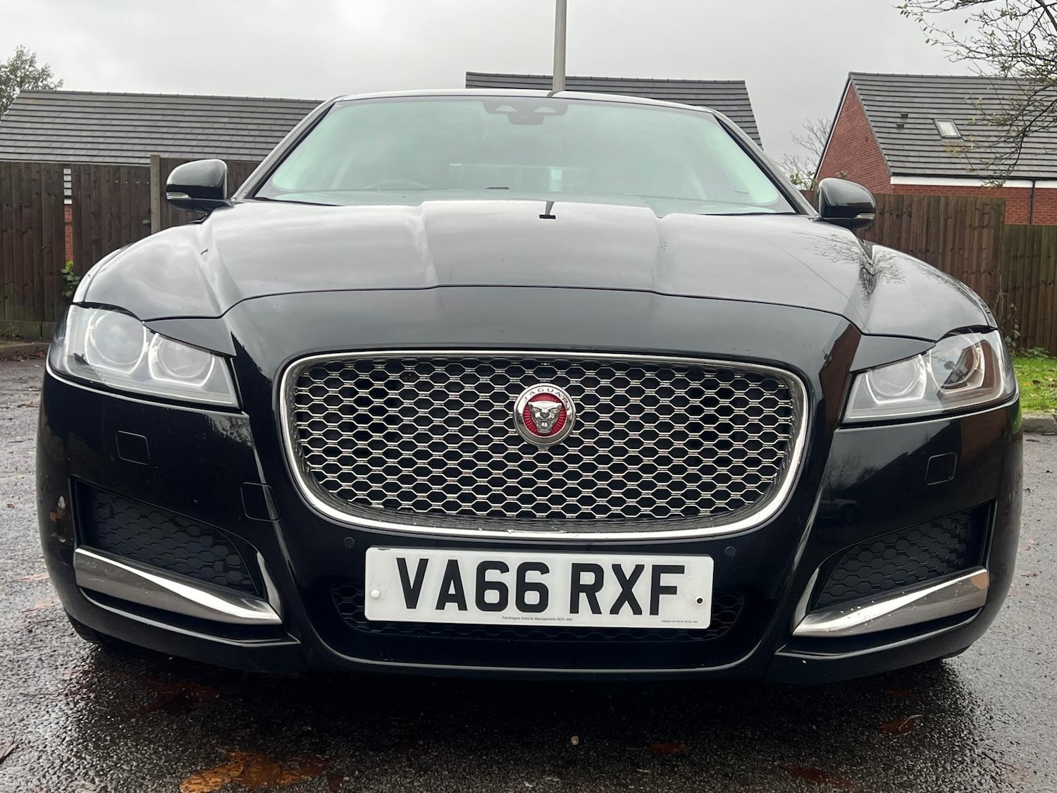 Used Jaguar XF 2017 for sale - 76528651: Photo 2