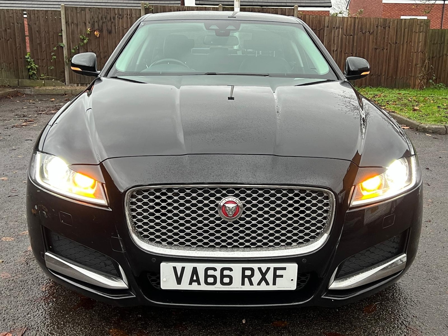 Used Jaguar XF 2017 for sale - 76528651: Photo 4