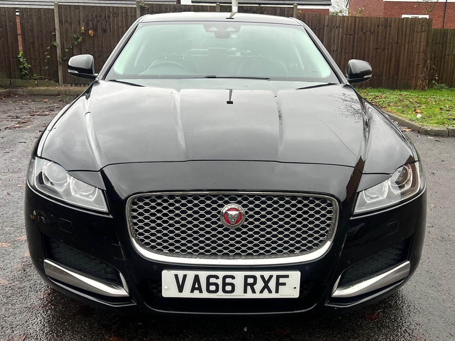 Used Jaguar XF 2017 for sale - 76528651: Photo 9