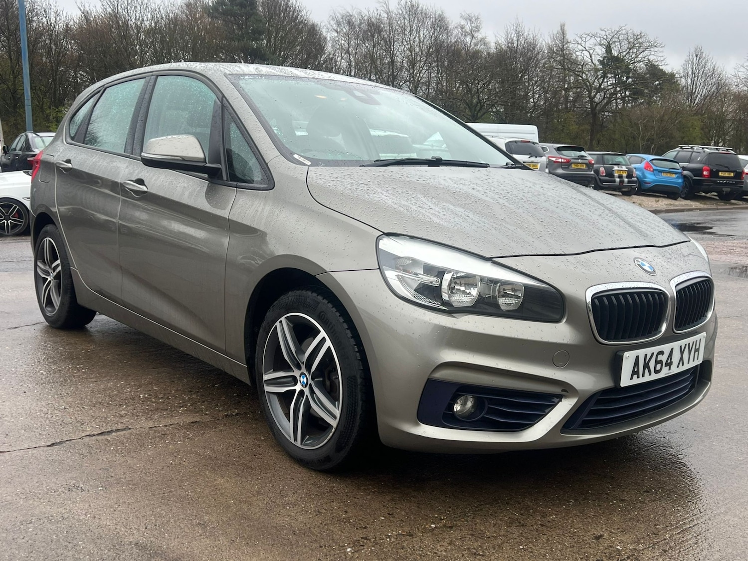 Used BMW 2 Series 2014 for sale - 78008336: Photo 37