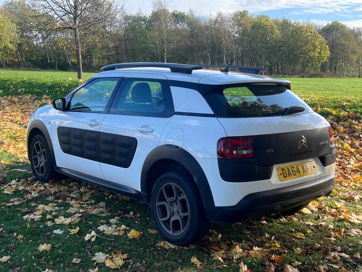 Used Citroen C4 Cactus 2015 for sale - 76389423: Photo 1